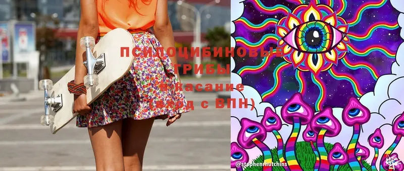 Галлюциногенные грибы Magic Shrooms  Зима 